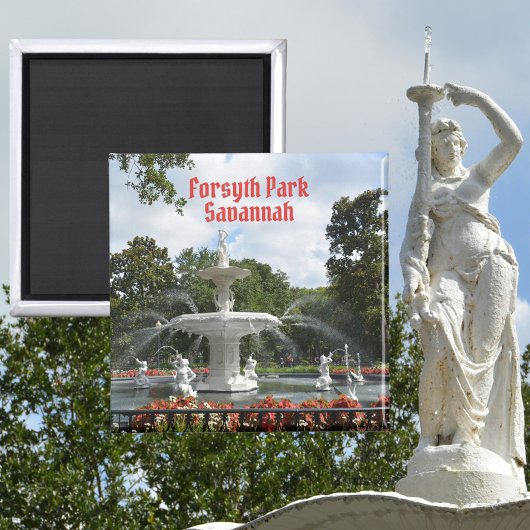フォーサイスパークファウンテンサバンナジョージフォト マグネット