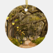 フォーサイス公園 – 写真，サバンナ，ジョージア(GA) USA セラミックオーナメント (正面)