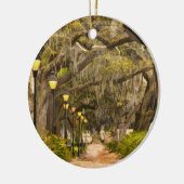 フォーサイス公園 – 写真，サバンナ，ジョージア(GA) USA セラミックオーナメント (左)