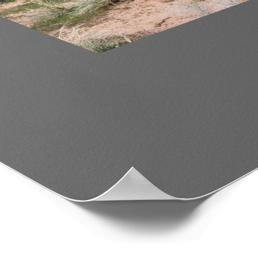 フォーシーズンズインウェスタンコロラド自然ポスター ポスター (角)