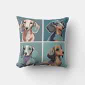 フォーダックシャンドイラストレーション クッション (正面)