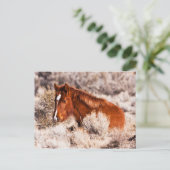 フォーティウィンクス ポストカード (スタンド正面)