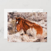 フォーティウィンクス ポストカード (正面/裏面)