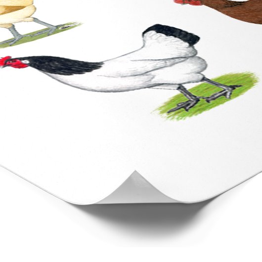 フォーティエイトヘンプロモ ポスター (角)