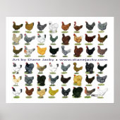 フォーティエイトヘンプロモ ポスター (正面)