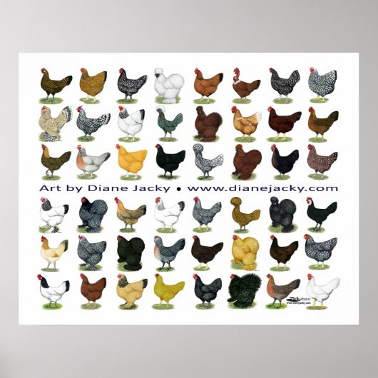 フォーティエイトヘンプロモ ポスター (正面)