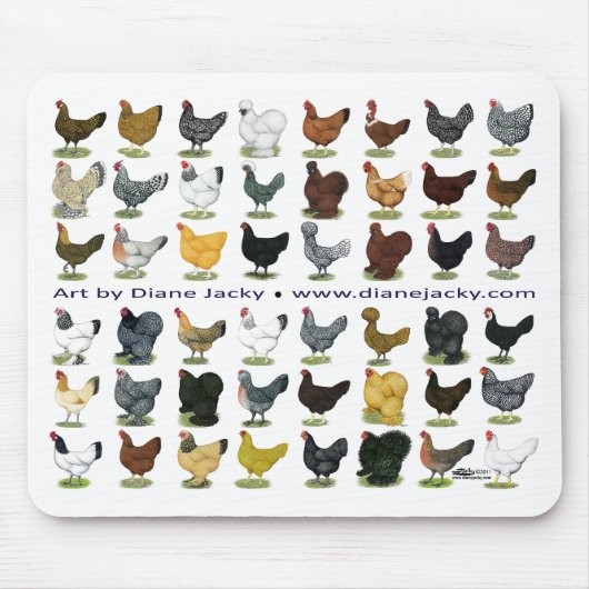 フォーティエイトヘンプロモ マウスパッド (正面)