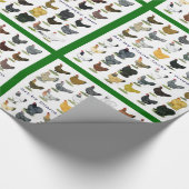 フォーティエイトヘンプロモ ラッピングペーパー (角)