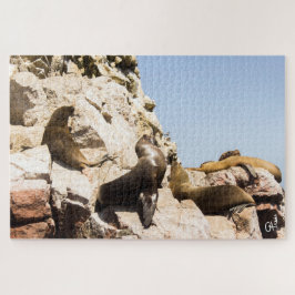 フォートイスラスバルスタス，パラカス – ペルー ジグソーパズル