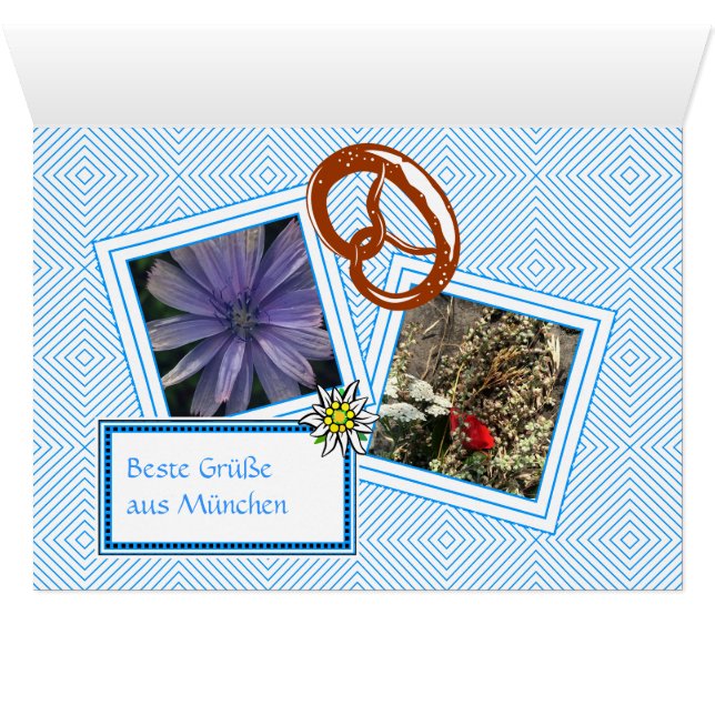 フォートエリンナーニュカルテン (内部横(下))