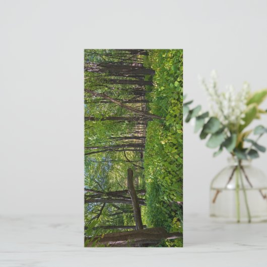 フォートスネリング州公園で サンキューカード (スタンド正面)