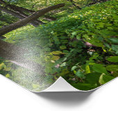 フォートスネリング州公園で フォトプリント            (角)