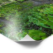 フォートスネリング州公園の森を通る フォトプリント            (角)