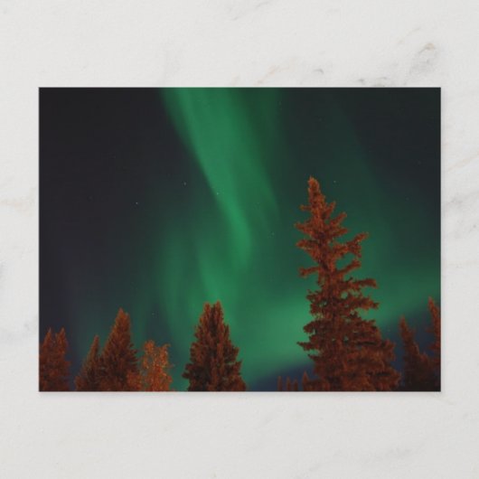 フォートノーザンライトAK・ウェインライト ポストカード (正面)