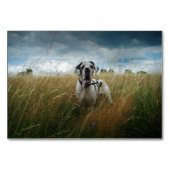 フォートプラッツカルテン テーブルナンバー (裏面)