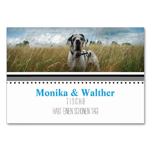 フォートプラッツカルテン テーブルナンバー (正面)