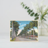 フォートマイヤーズ、フロリダ州マクレガー大通り ポストカード (スタンド正面)