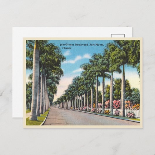フォートマイヤーズ、フロリダ州 マクグレゴーブールバード ポストカード (正面/裏面)