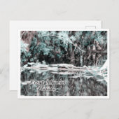 フォートマイヤーズ・フロリダ ポストカード (正面/裏面)