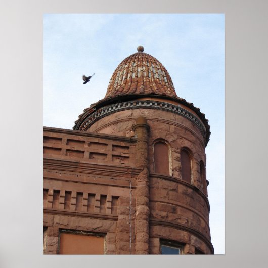 フォートマディソン、アイオワ建物とハト ポスター (正面)