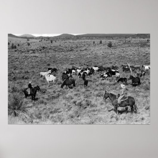 フォートロック、オレゴン州カウボーイデビルズガーデン ポスター (正面)