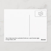 フォートローダーデールの夜のスカイライン ポストカード (裏面)