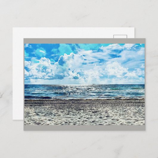 フォートローダーデールビーチポストカード シーズンポストカード (正面/裏面)