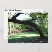 フォートワースガーデンツリー ポストカード (正面/裏面)