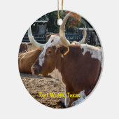 フォートワーステキサス州 セラミックオーナメント (左)