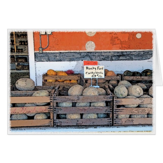 フォードの岩が多いメロン (正面横)