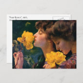 フォーバラバイフランツドヴォラック ポストカード (正面/裏面)