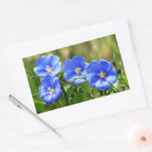 フォービューティフルブルーワイルドフラワーズ開花カナナスキス 長方形シール (封筒)