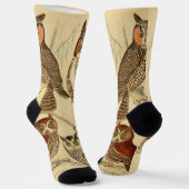 フォーフールイラストレーション ソックス (傾斜あり)