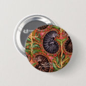 フォーマルなPaislesのフォーマルなペイズリーDarlene P. Colt… 缶バッジ (正面&裏面)