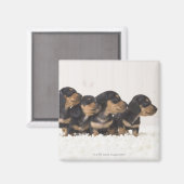 フォーミニダシュント マグネット (正面/裏面)