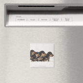 フォーミニダシュント マグネット (インサイチュ (食洗機))