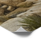 フォーメーションJoshuaツリー ポスター (角)