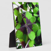 フォーリーフクローバーシャムロックセントパトリックの幸運 フォトプラーク (側面)