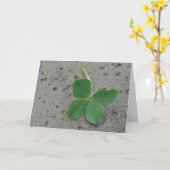 フォーリーフクローバーラッキーチャーム カード (黄色い花)