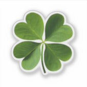フォーリーフクローバー シール (正面)