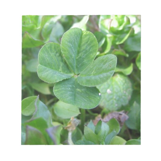 フォーリーフクローバー ノートパッド (正面)