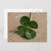 フォーリーフクローバー ポストカード (正面/裏面)
