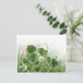 フォーリーフクローバー ポストカード (スタンド正面)