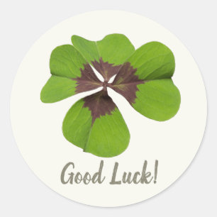 フォーリーフラッキークローバーSt patricks dayグッドラック ラウンドシール