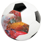 フォールギャザリングコイ サッカーボール (3/4)