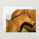 フォールクローズアップ ポストカード (正面/裏面)