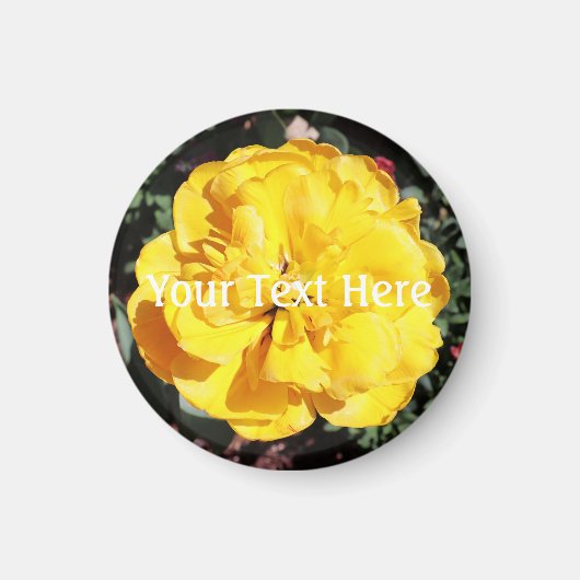 フォールサンシャインフローラ マグネット (正面)