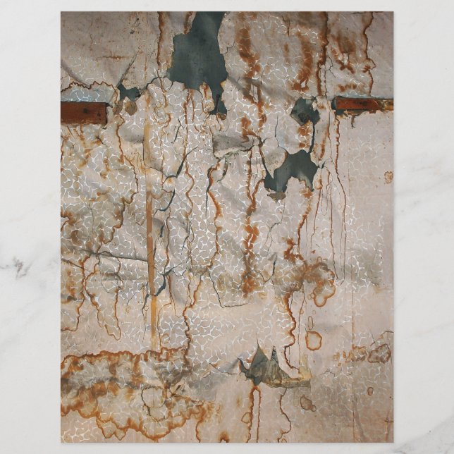 フォールステンドエレガンス (正面)