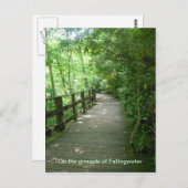 フォールニングウォーター ポストカード (正面/裏面)