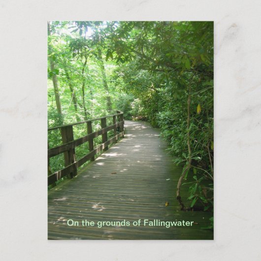 フォールニングウォーター ポストカード (正面)